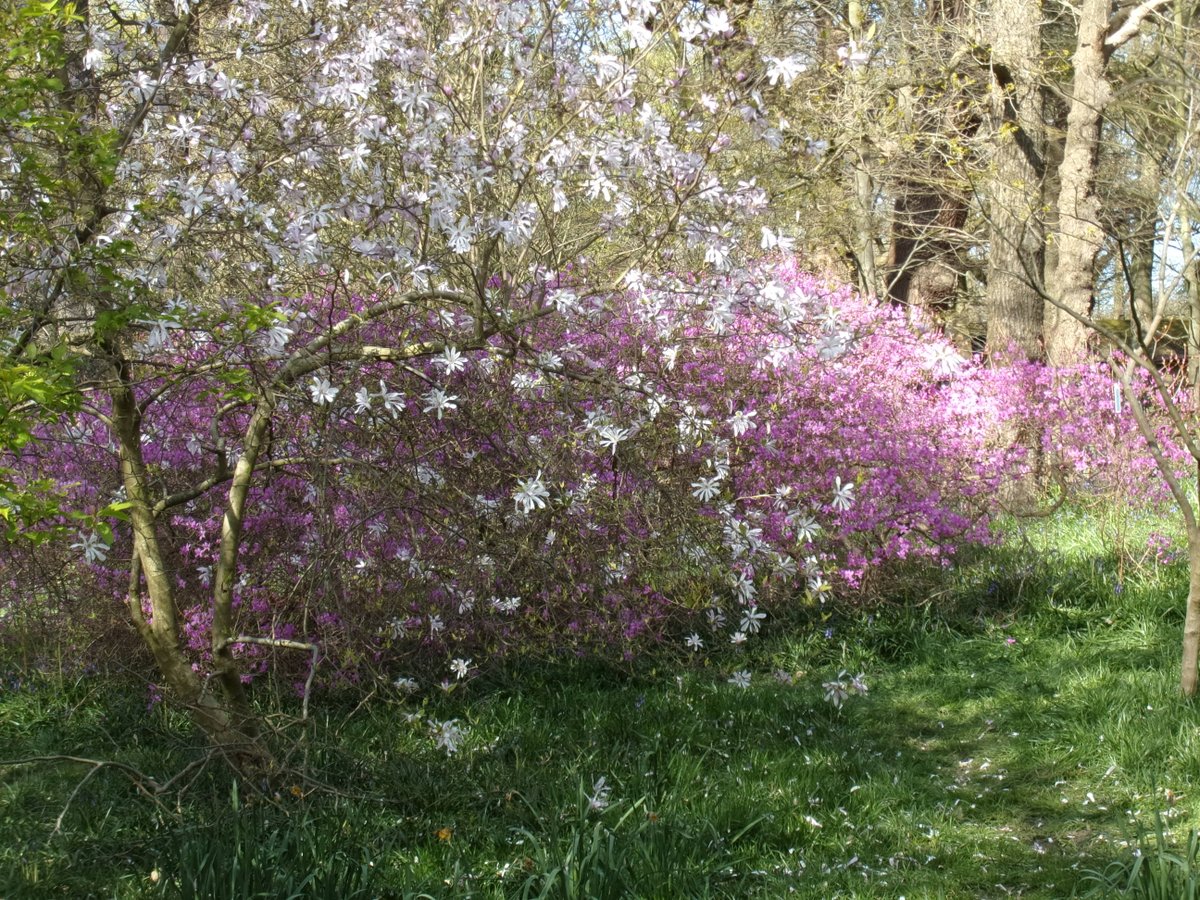 Jackie Pearce tweet media