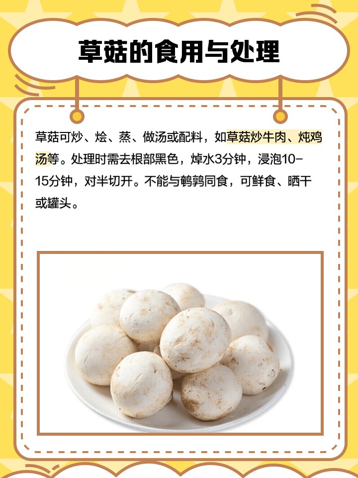 Ismet Uguz tweet media