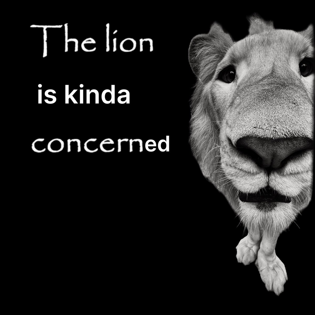 RPG Enjoyer 🐉 tweet media