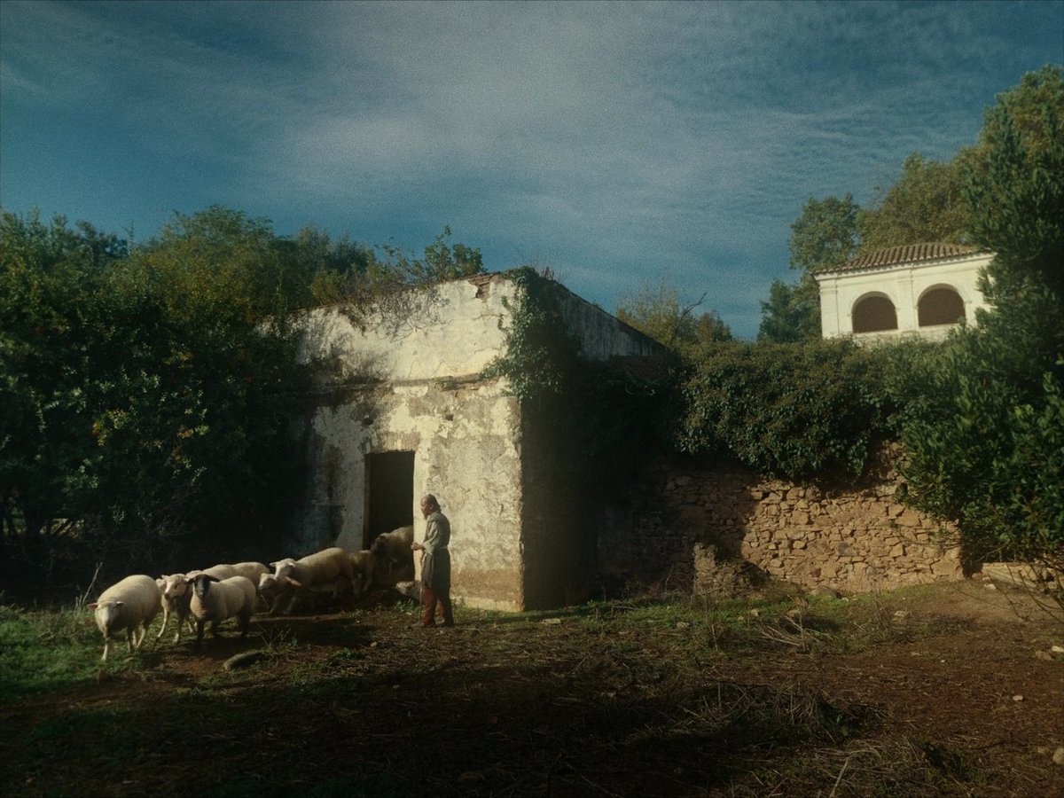 *ੈ⁺‧₊˚ ཐི⋆suchkova⋆ཋྀ ˚₊‧⁺ *ੈ tweet media