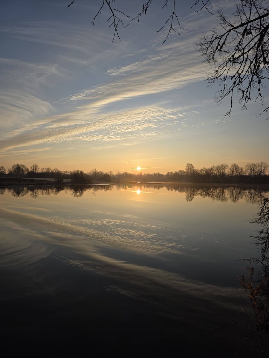 𝐈 𝐛𝐞𝐥𝐢𝐞𝐯𝐞 𝐈 𝐜@𝐧 𝐟𝐥𝐲 tweet media