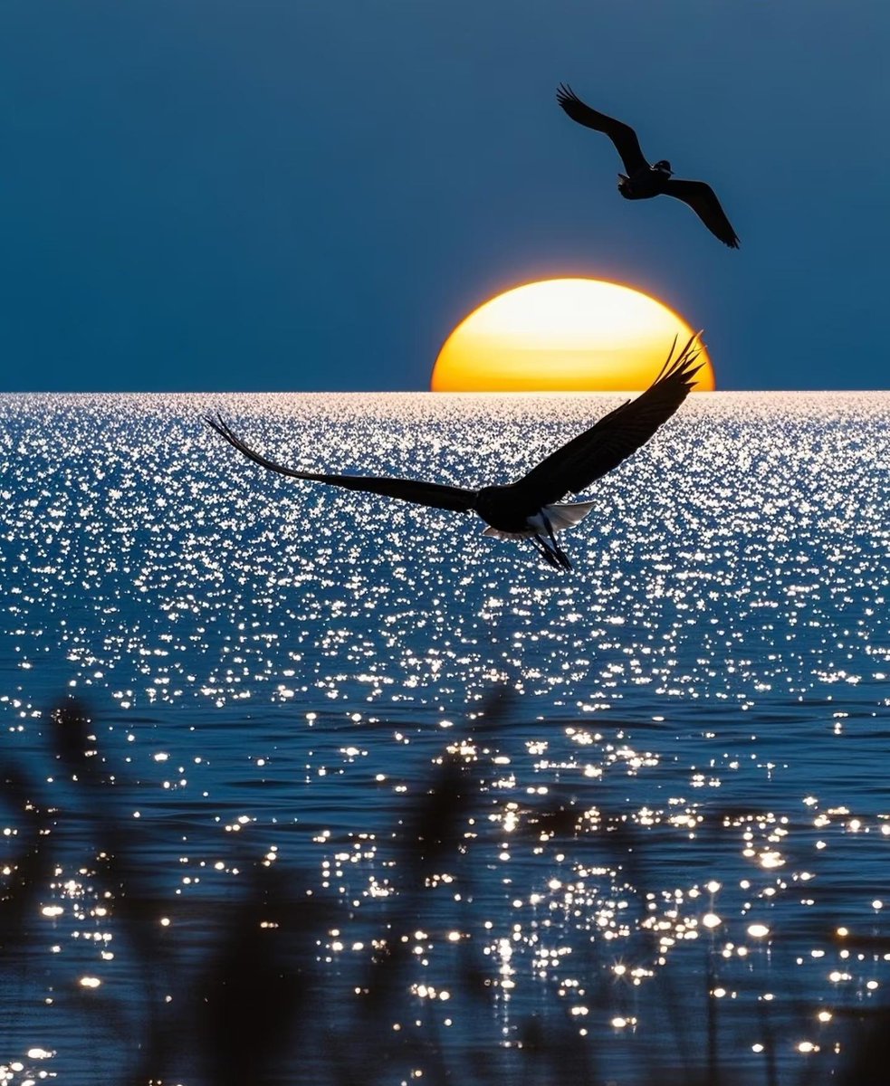 jordan ngantat tweet media