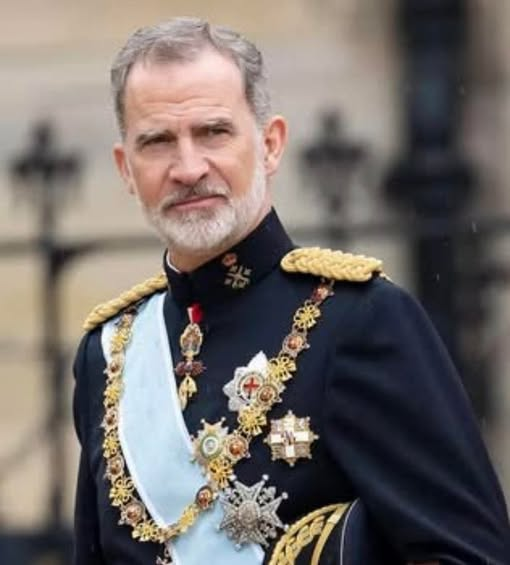 PEPE, en Español . INVICTUS MANEO.🇪🇸 🇮🇱 tweet media