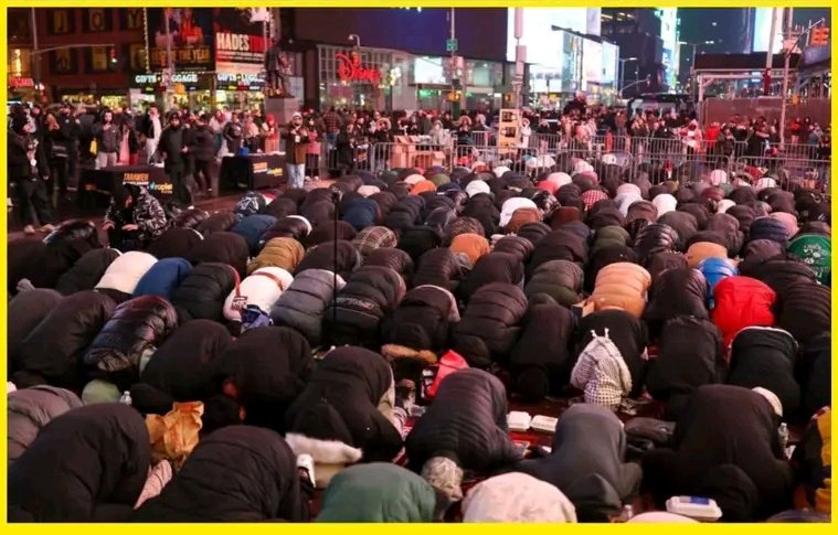 JM News Network tweet media