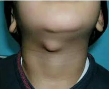 The Body Explained | Anatomy, Physiology, Medicine tweet media