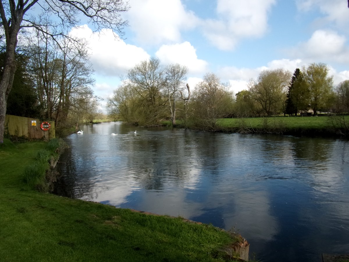 Jackie Pearce tweet media