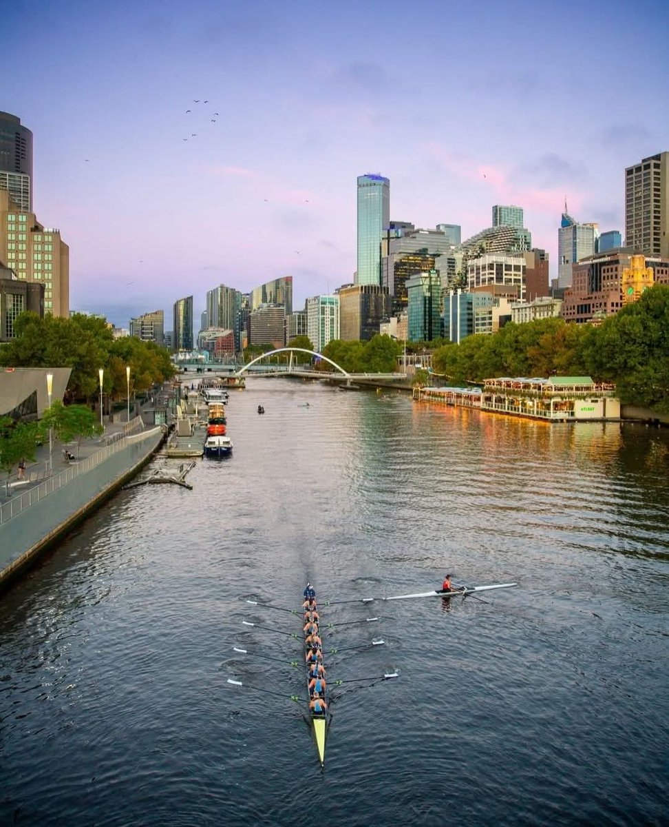 Wander Aesthetic tweet media