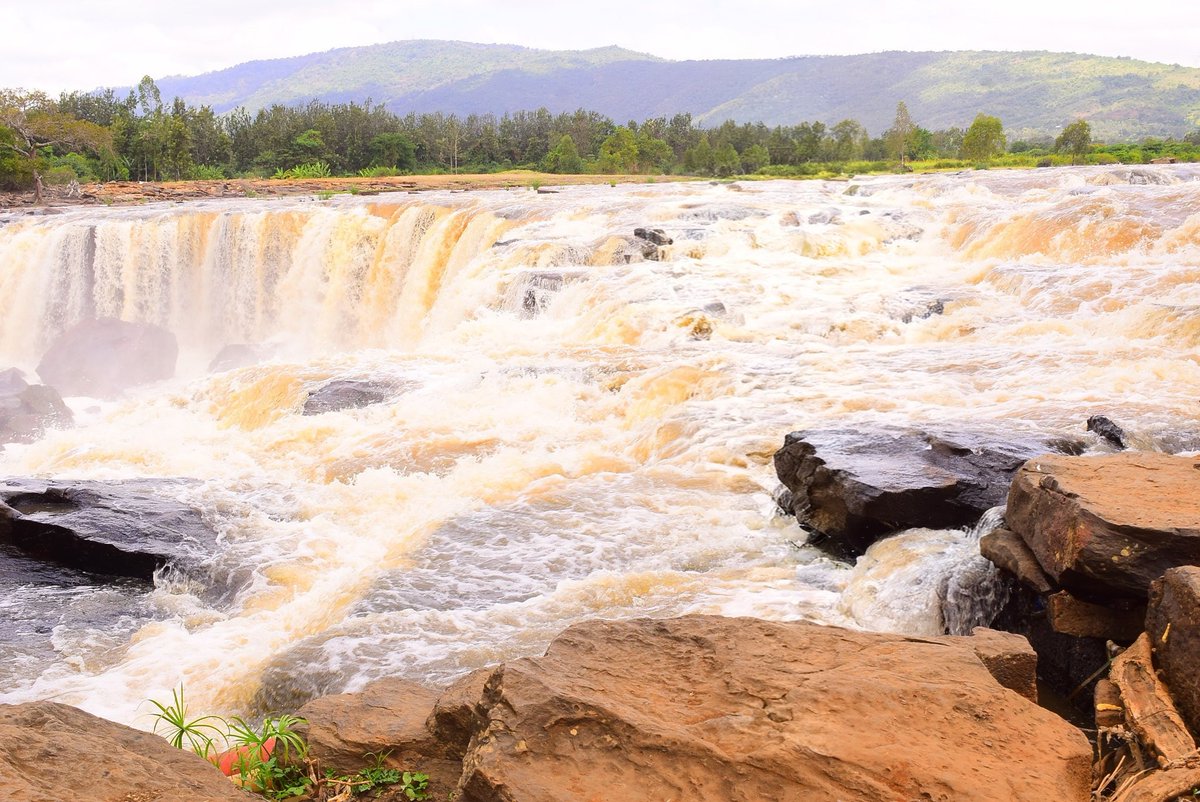 Sarah🦋 tweet media