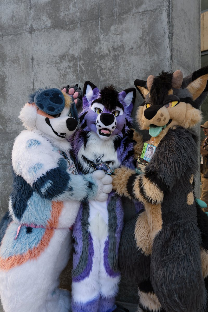 ✨gray✨🔜 LVFC tweet media