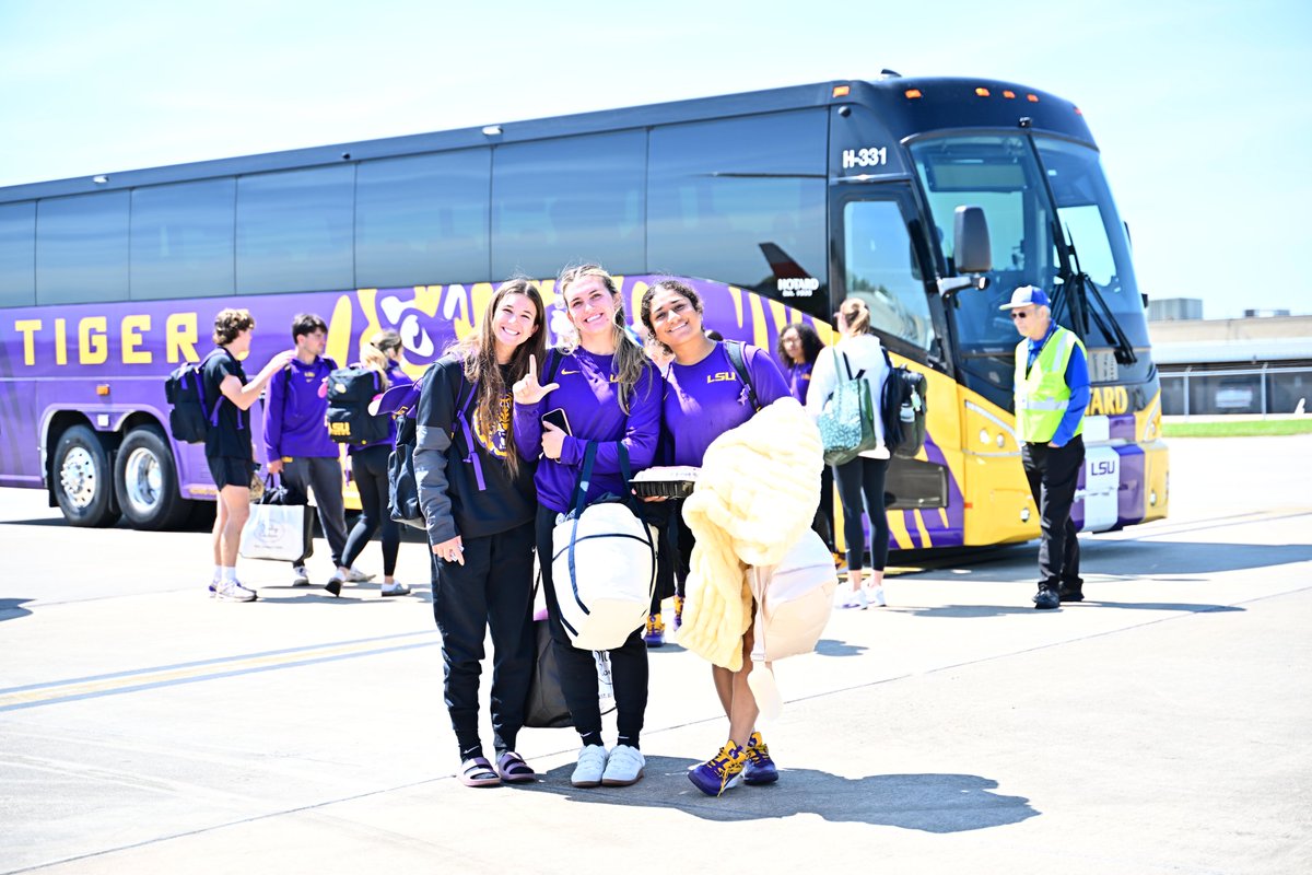 LSU Softball tweet media