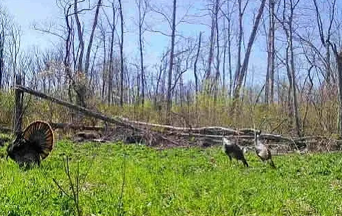 Whitaker Marketing Group tweet media