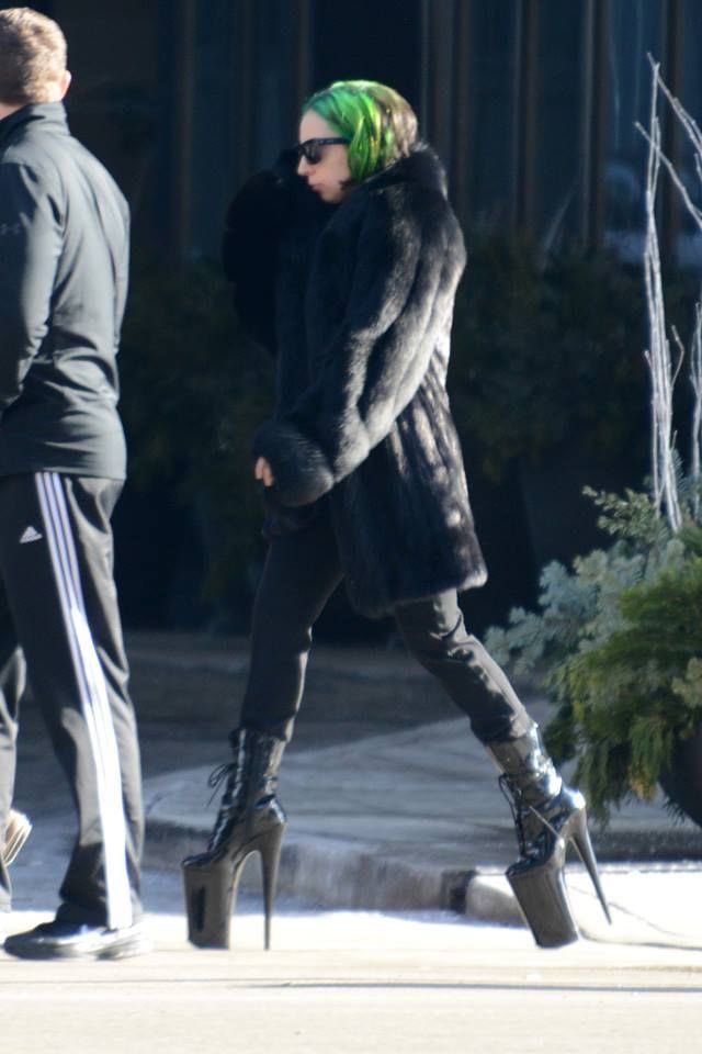 Gaga Crave 🌷 tweet media