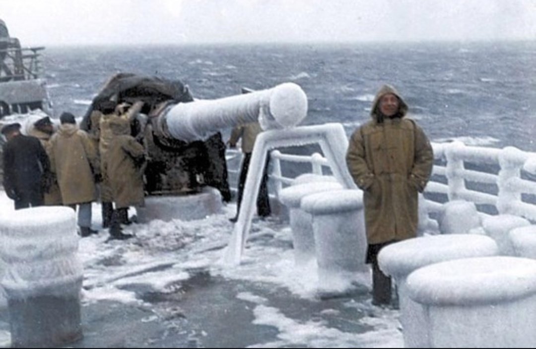 Carlyle Gordon/#NAFOfella tweet media