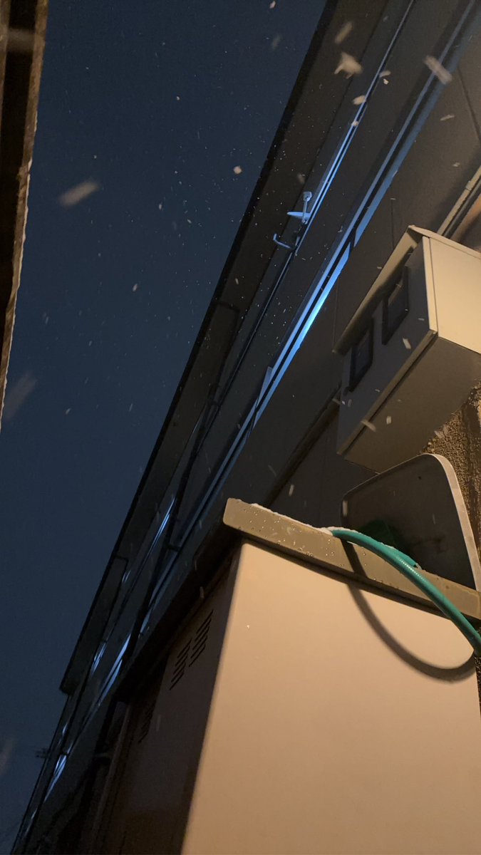 みにまりすと tweet media