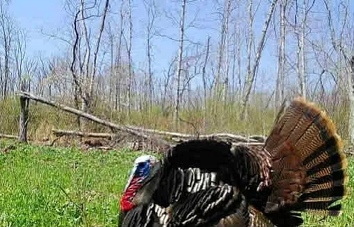 Whitaker Marketing Group tweet media