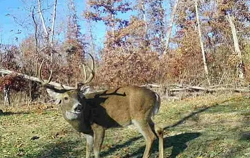 Whitaker Marketing Group tweet media