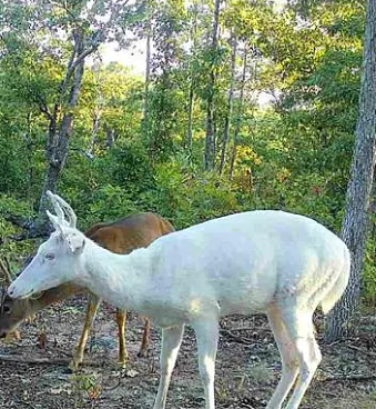 Whitaker Marketing Group tweet media