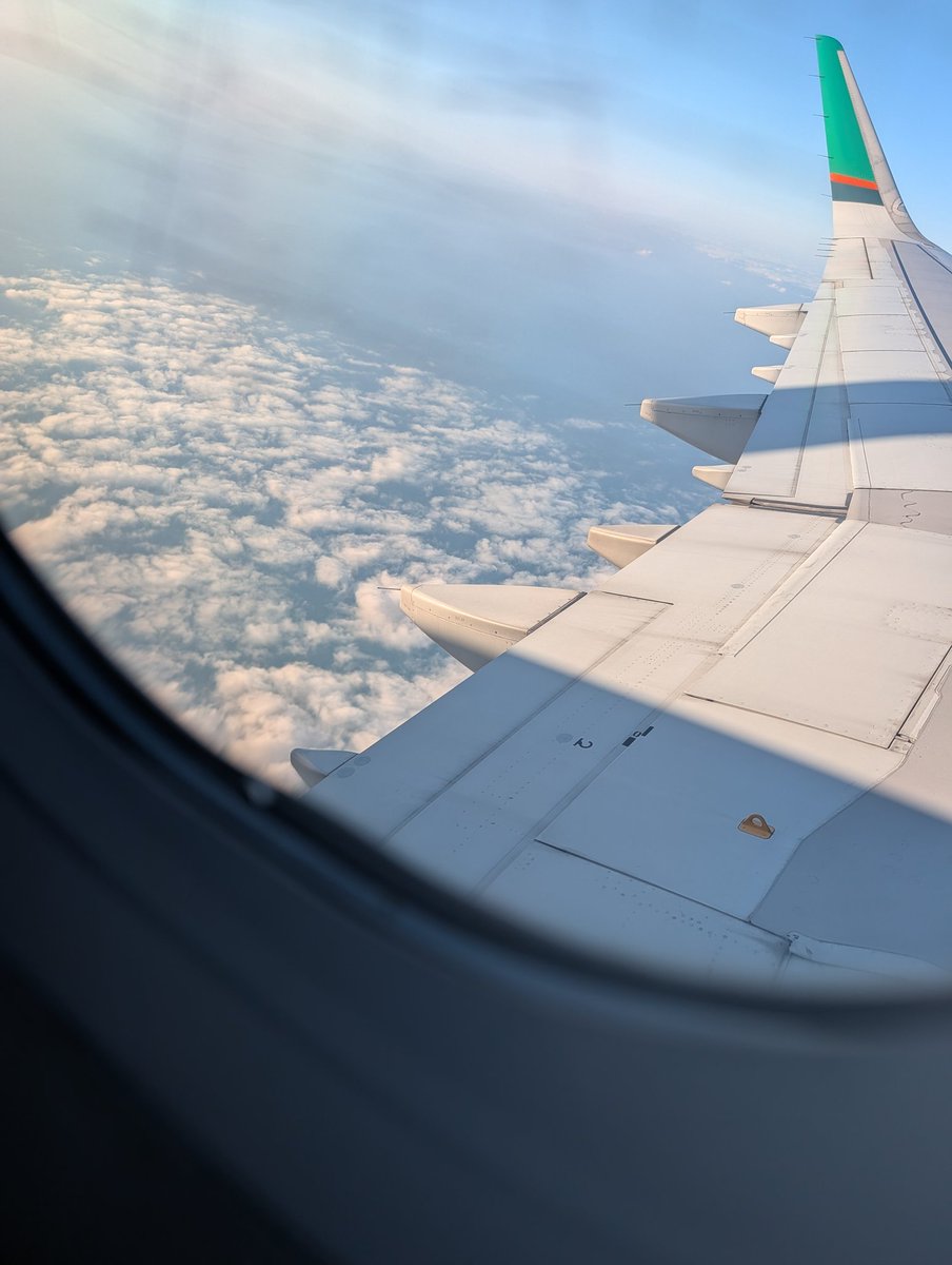 台南小隻馬 tweet media