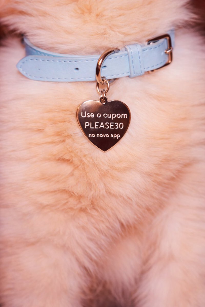 Sabrina Carpenter Brasil | fan account tweet media