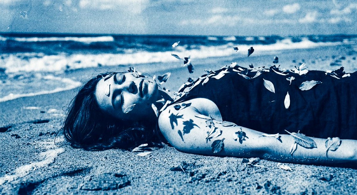 sude acar tweet media