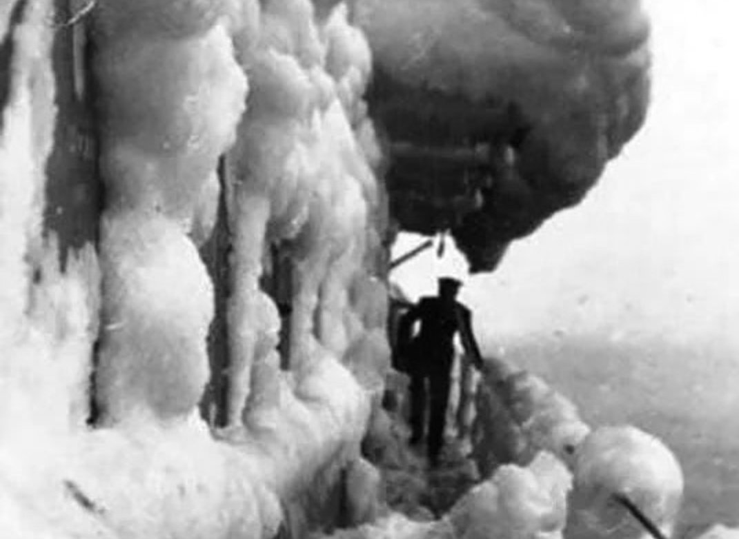 Carlyle Gordon/#NAFOfella tweet media