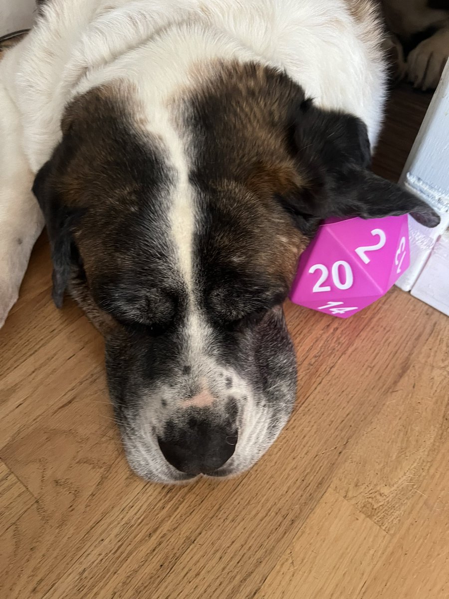 Clay Martin ⚔️ tweet media