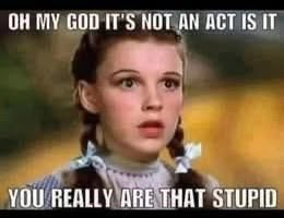 🇺🇸I am ungovernable 👌 tweet media