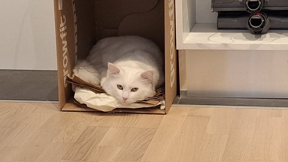 he loves to larp like he roughs it on the streets