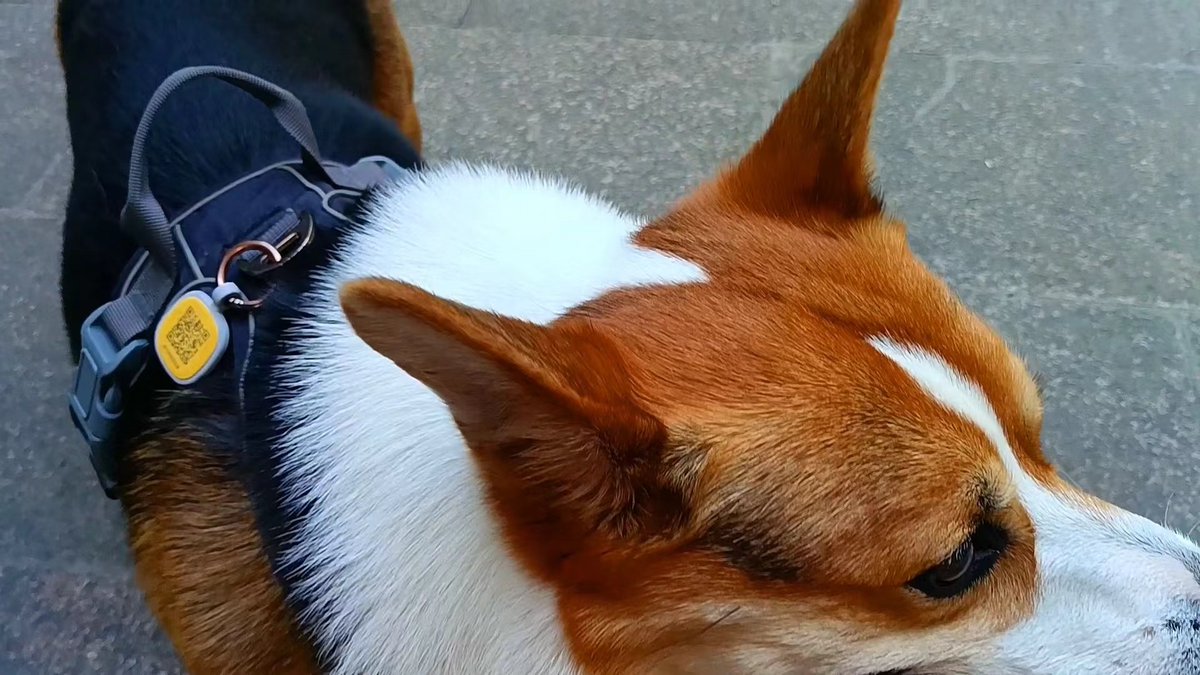 Gary Butler tweet media