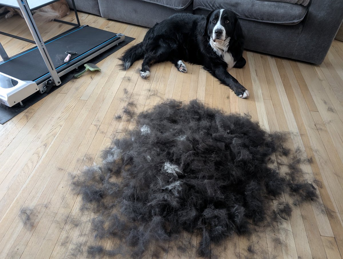 Chef Goose tweet media