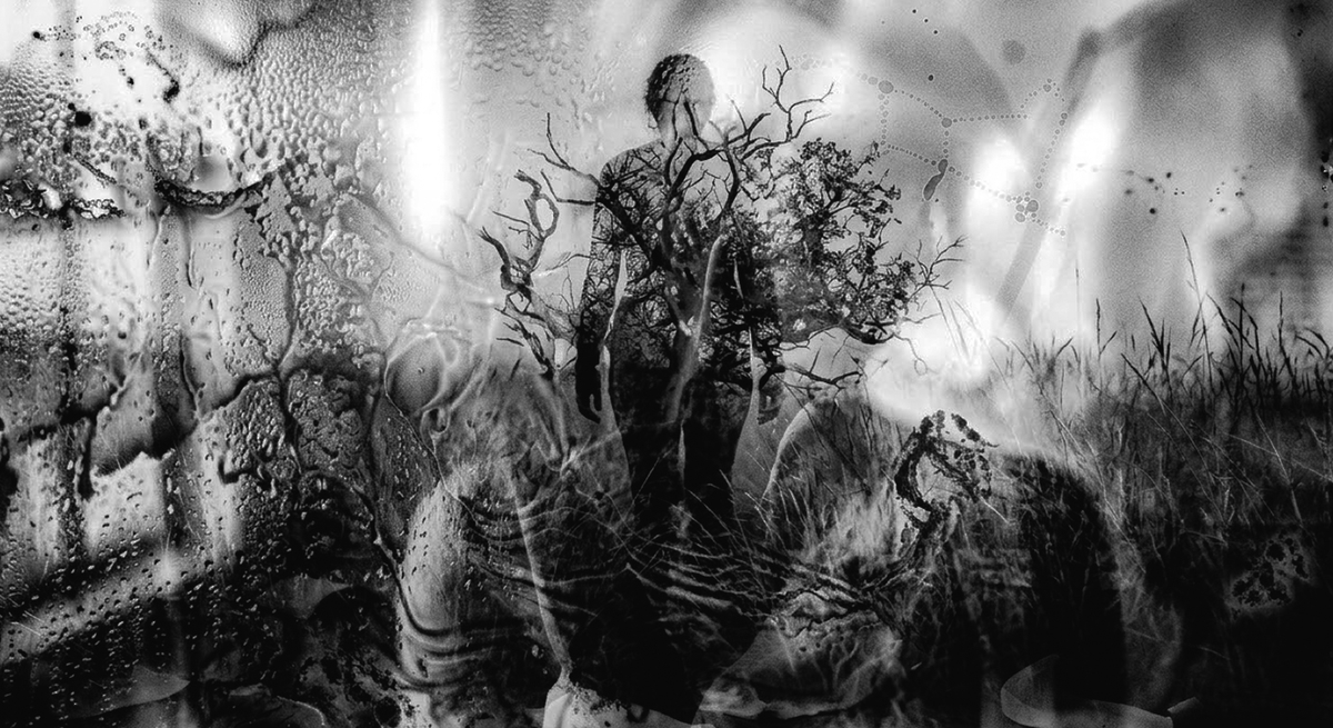 sude acar tweet media