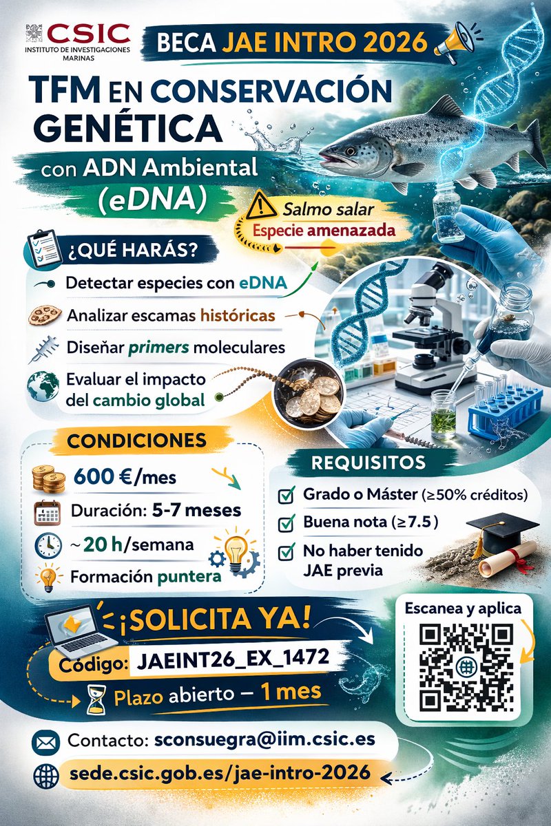 OLDSALMO tweet media