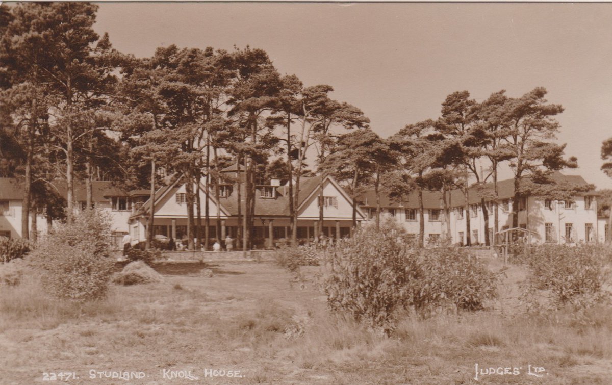 #PostedInThePast | Helen Baggott tweet media