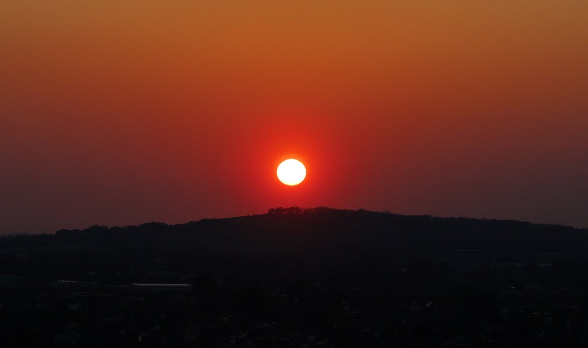 eddie mitchell tweet media