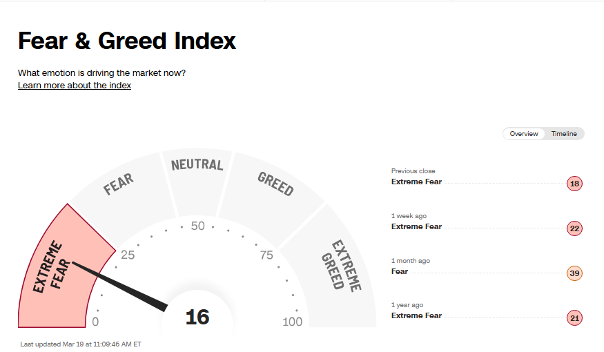 Pete Stolcers | OneOption tweet media