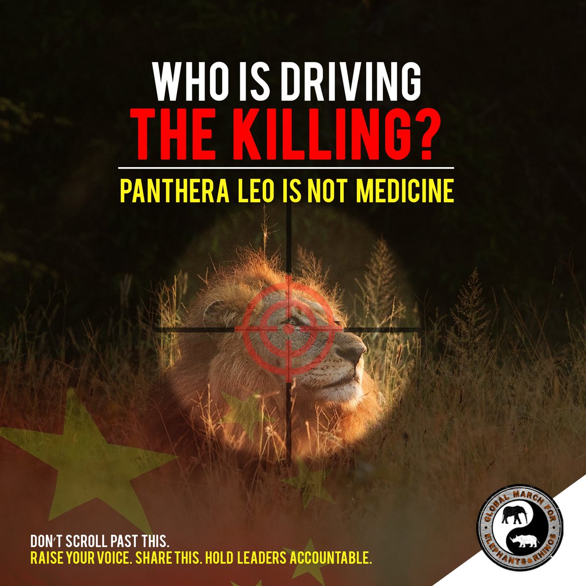 March4ElesAndRhinos tweet media