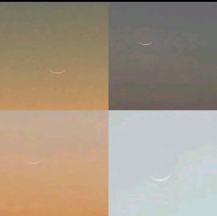 محمد tweet media