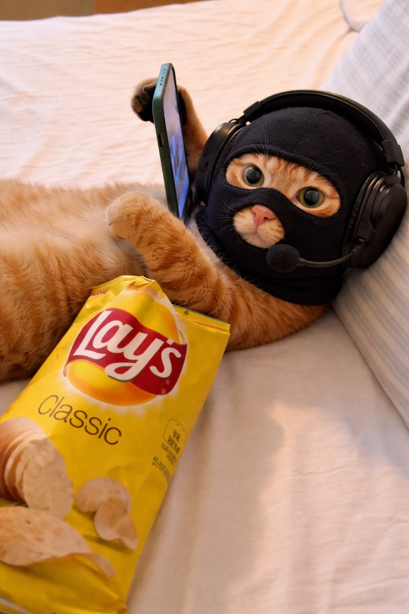 catwifmask official tweet media