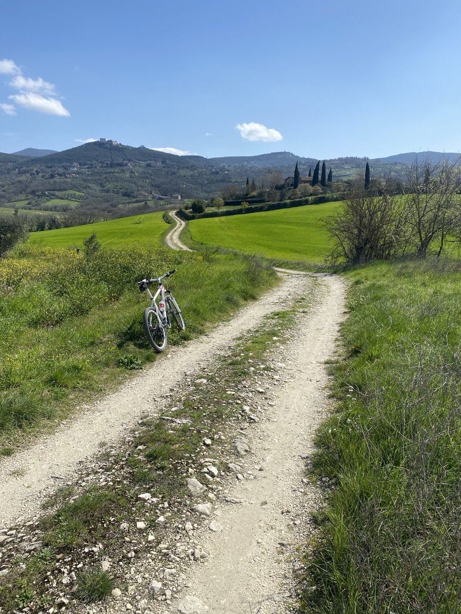 Stig Hjelmeland tweet media