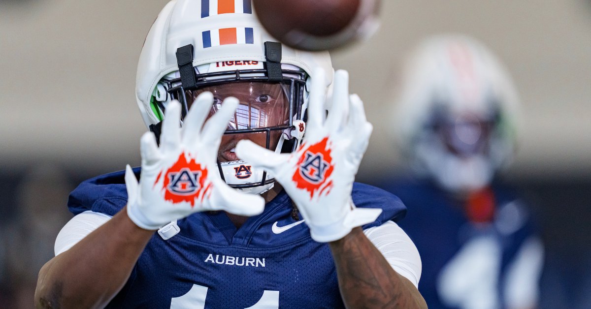 Nathan King tweet media