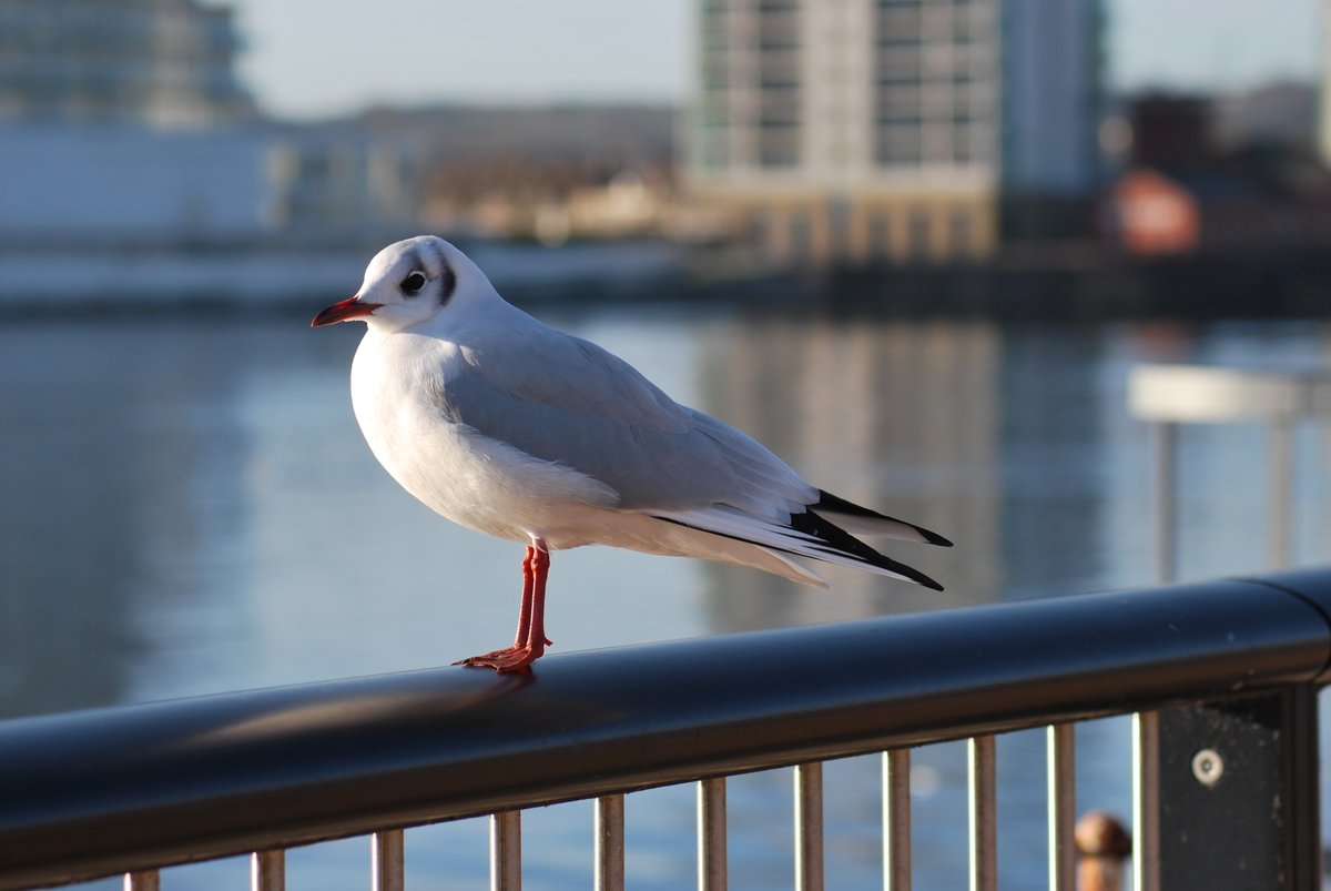 Jackie Pearce tweet media