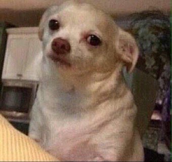 fck off nazi 🍉 tweet media