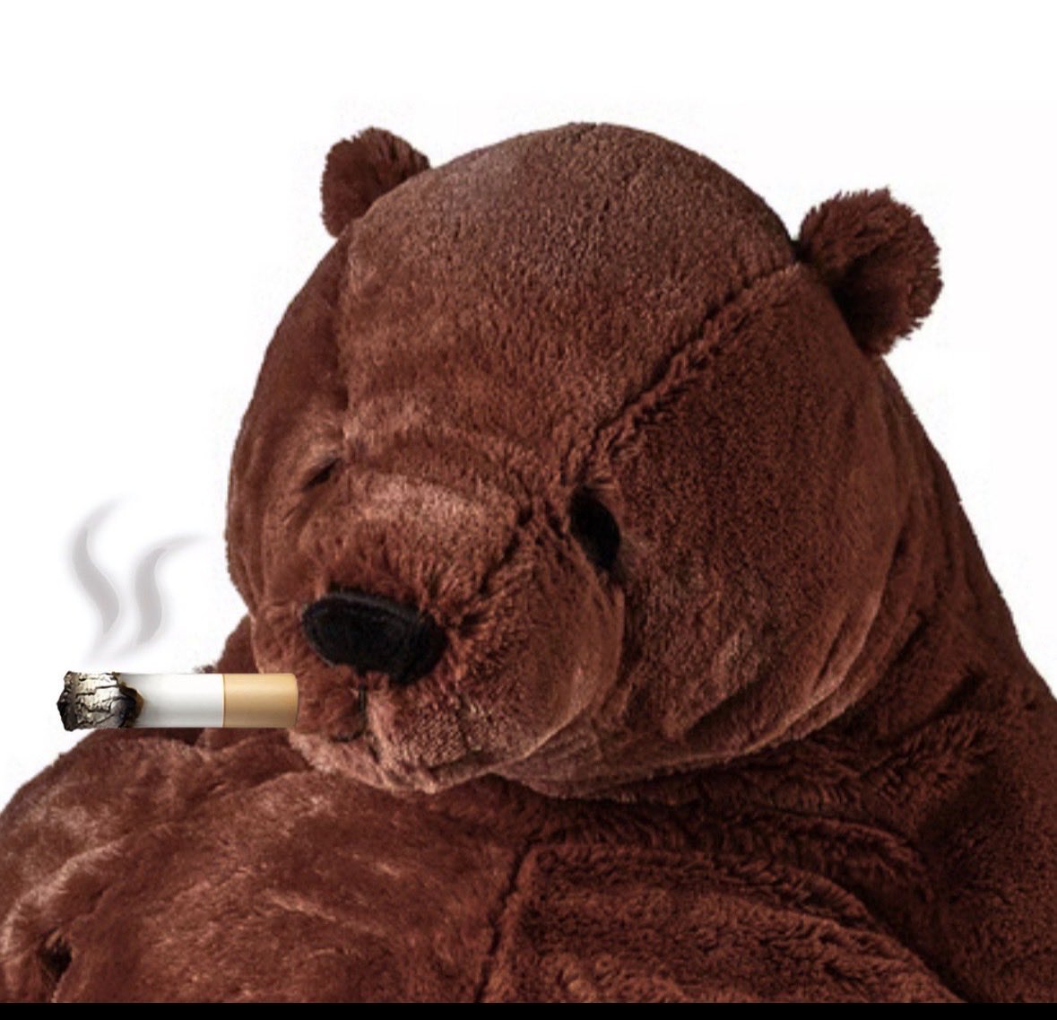 Der Allerechte tweet media