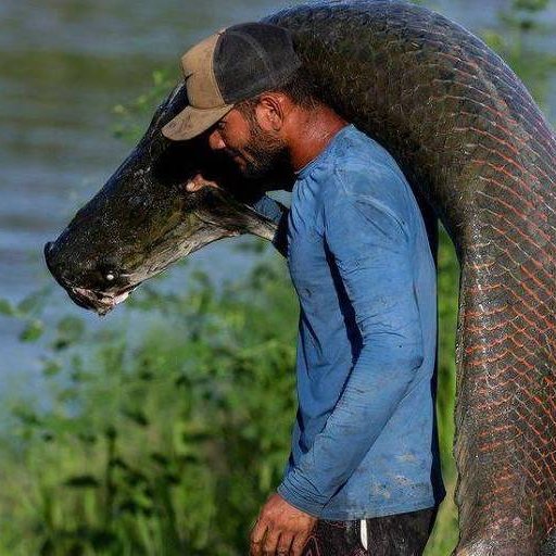 République tweet media