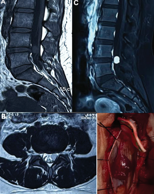 Doc Navarrow tweet media