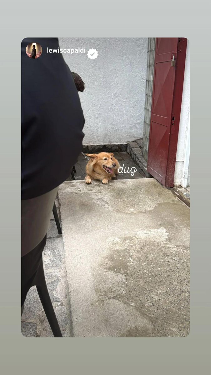 Lewis Capaldi News Brasil tweet media