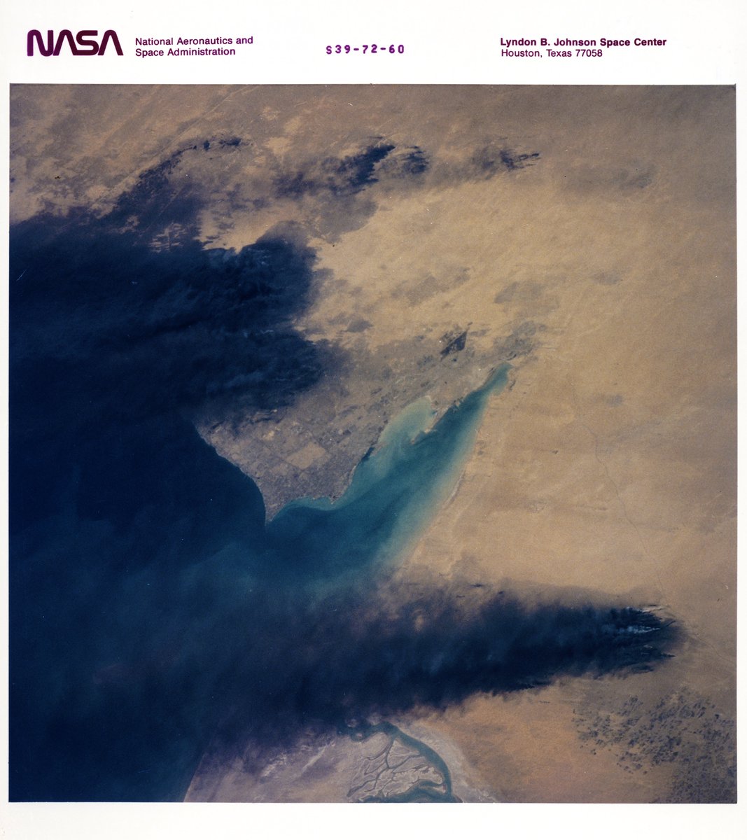 Sel🏳️‍🌈 tweet media