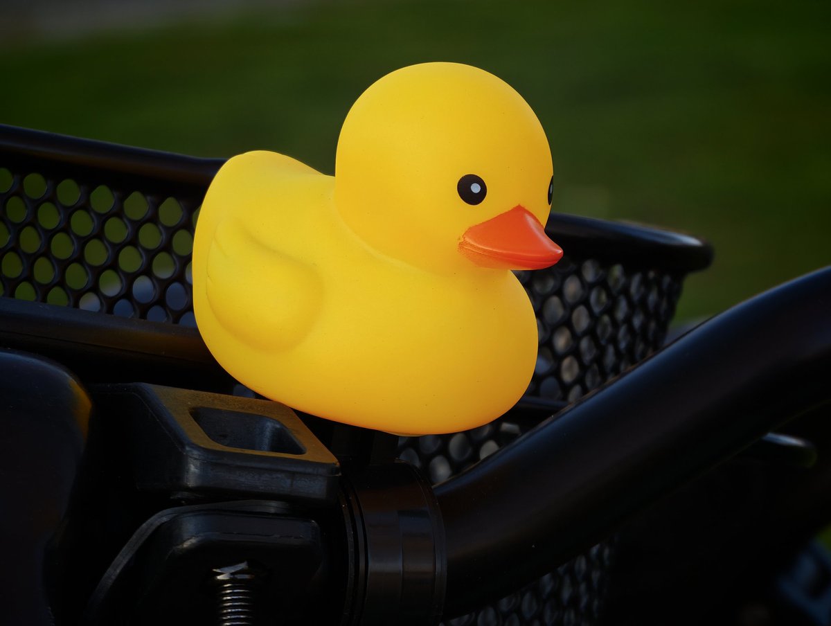 Leszek Lesner tweet media