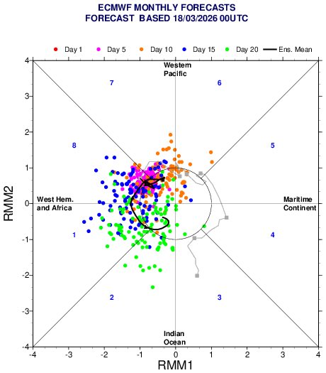 Gabe Garfield tweet media