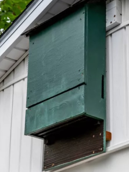 Niagara Falls Museum tweet media